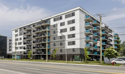 muso-des-appartements-a-louer-a-ste-foy-ou-les-chiens-sont-acceptes