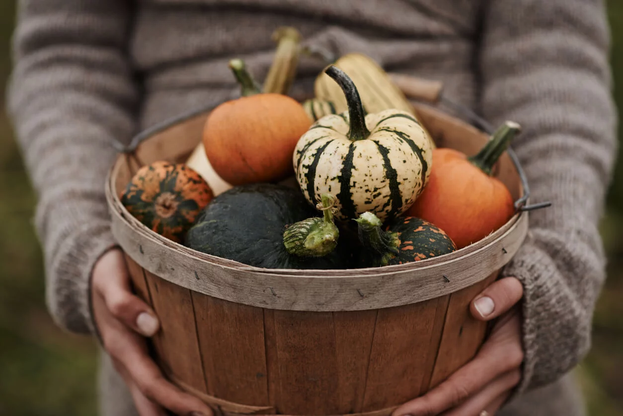 citrouilles