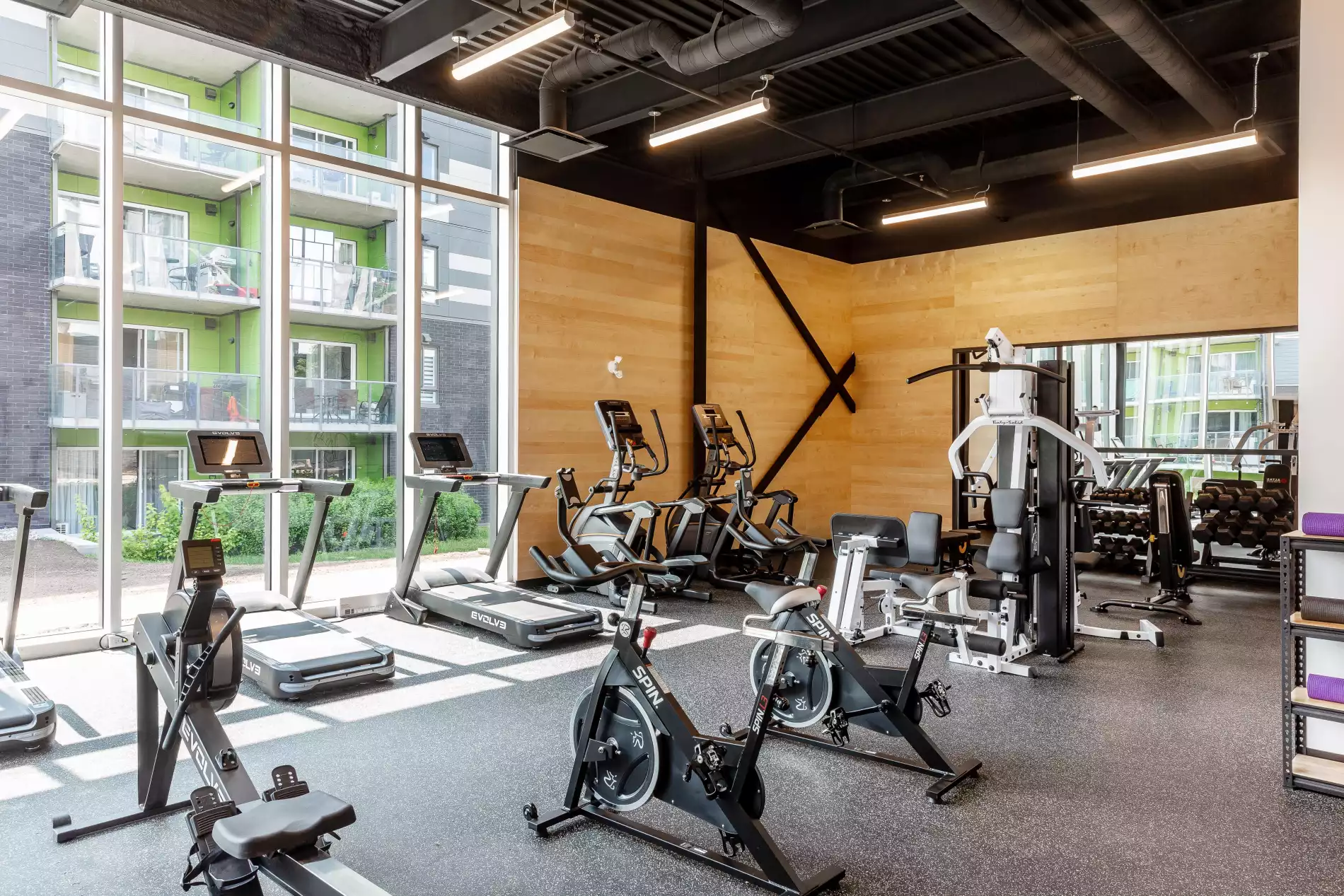 gym
