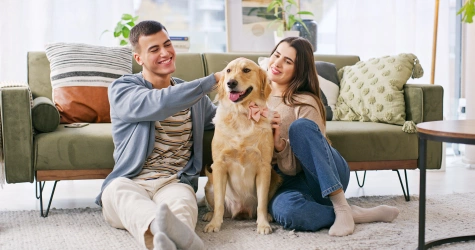 Le MUSO : un chez-soi pensé pour vous… et votre chien! | LOGISCO