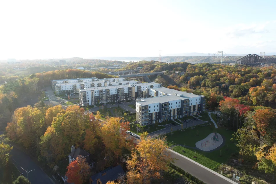 Cuisine appartement Amalgam