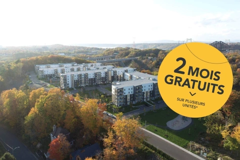 lamalgam-grands-appartements-a-louer-a-saint-romuald-levis