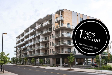 oslo-des-appartements-a-louer-a-saint-romuald